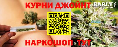 дмт Малгобек
