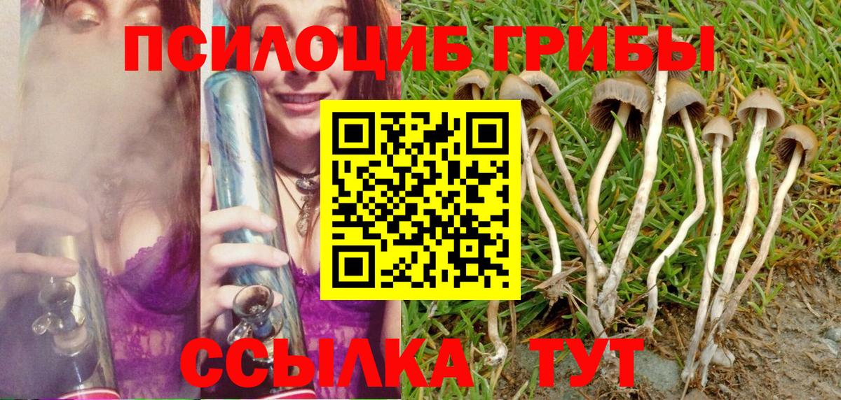 Избербаш  Галлюциногенные грибы GOLDEN TEACHER  Вход с VPN 